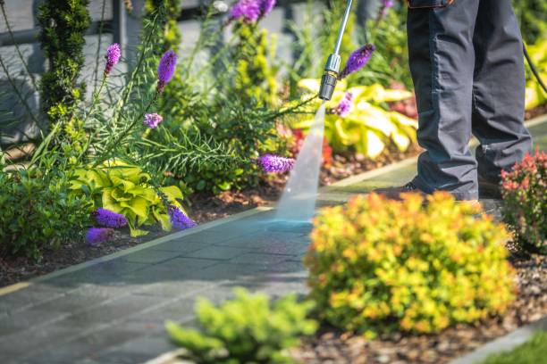 Best Machinery and Equipment Cleaning  in Bloomville, OH