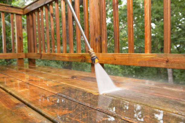 Animal Enclosure Cleaning in Bloomville, OH